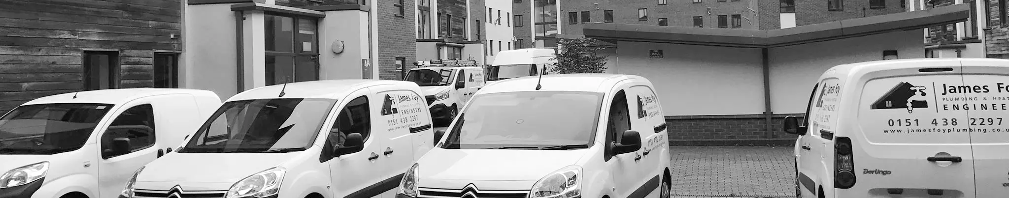 Lewis & Foy Vans